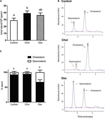 Desmosterol Incorporation Into Ram Sperm Membrane Before Cryopreservation Improves in vitro and in vivo Fertility